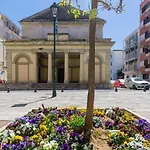 Theodora\'S Nest